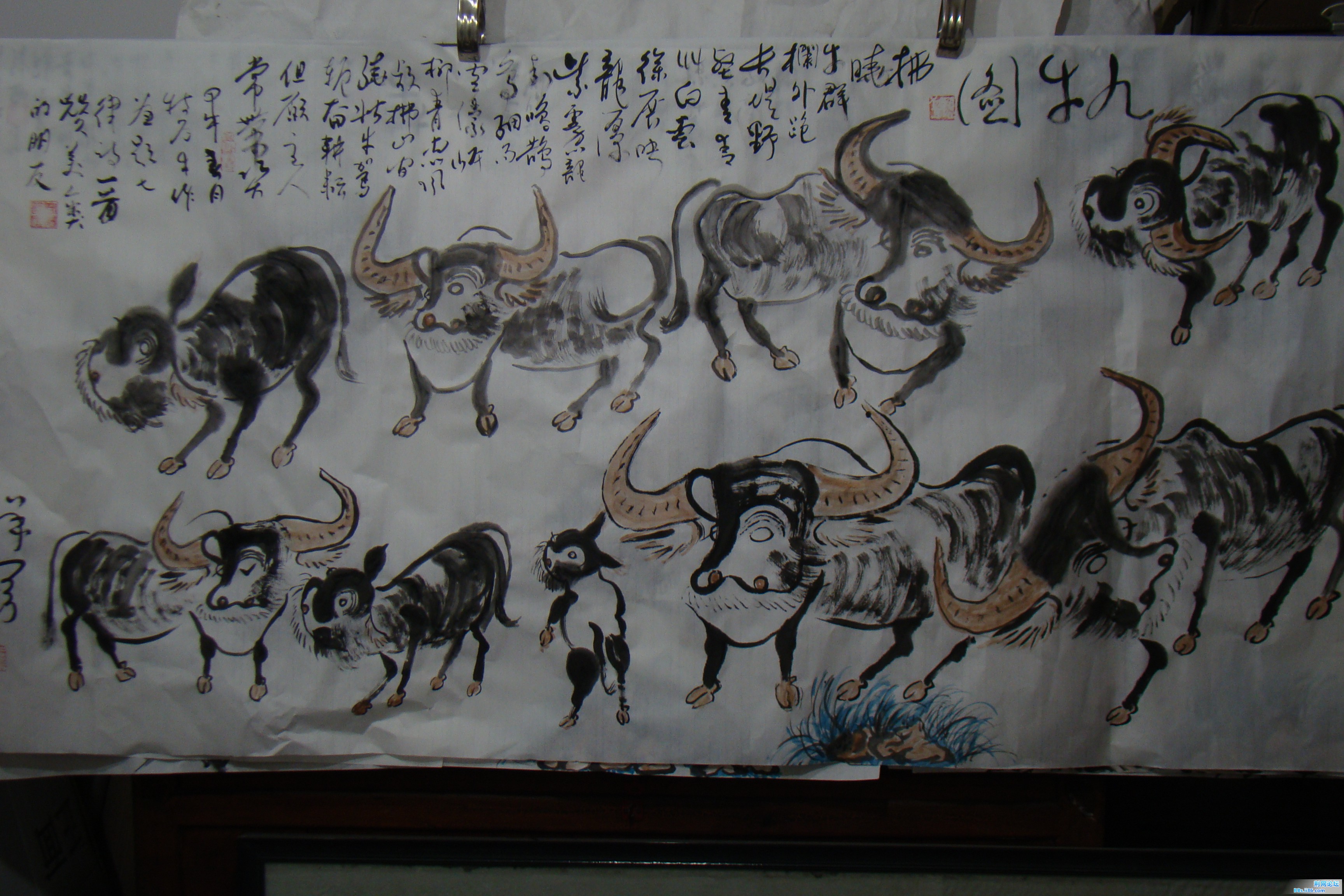 DSC09770.JPG