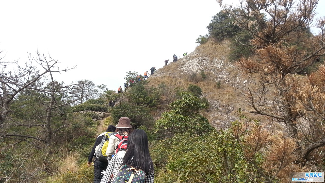 20150214_103631.jpg