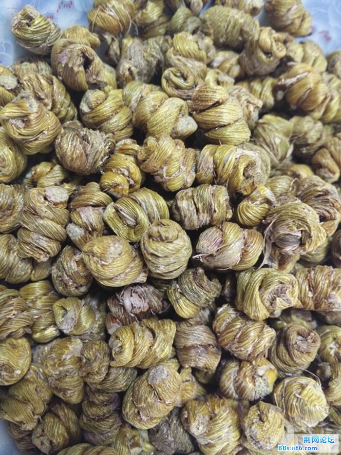 铁皮枫斗