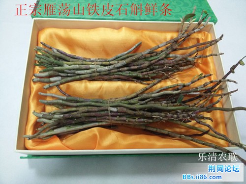 QQ图片20150325135625_副本.jpg