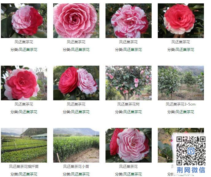 微信截图_20160714144838.jpg