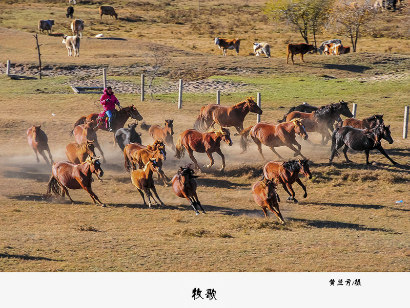 黄兰芳《牧歌》.jpg