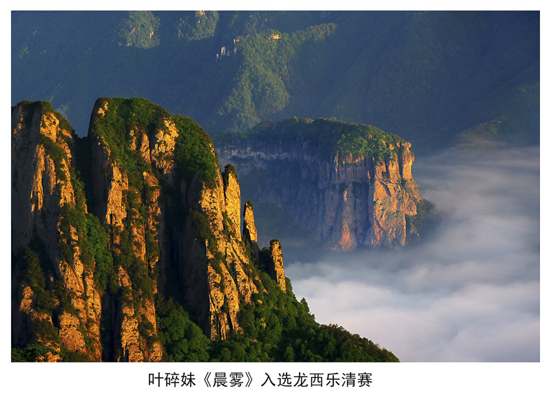 叶碎妹《晨雾》入选龙西乐清赛.jpg