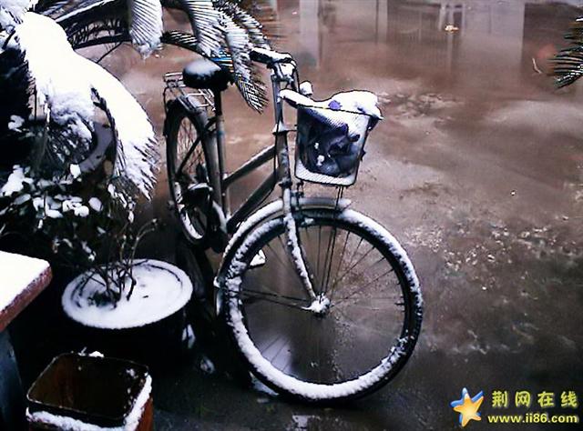 2005 3 13 大荆雪.jpg