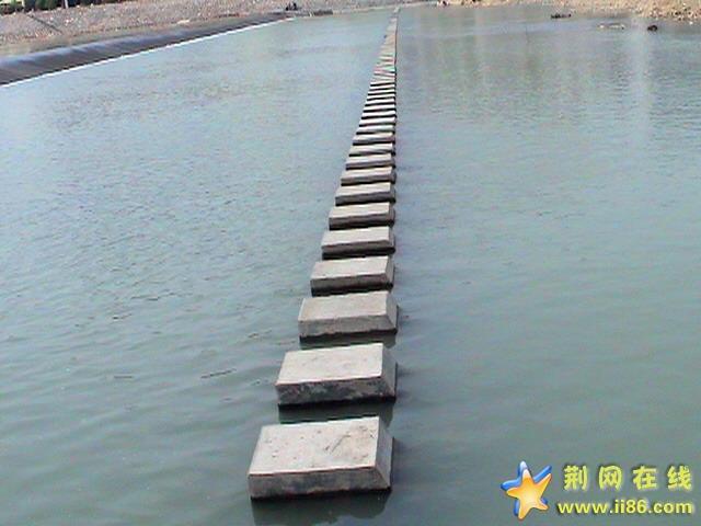 DSC00033.jpg