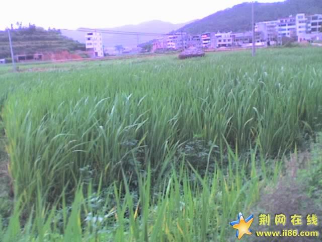 17-05-07_1631.jpg