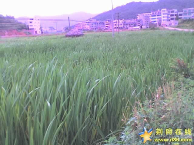 17-05-07_1632.jpg