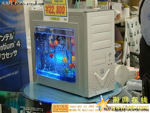 000490593.jpg