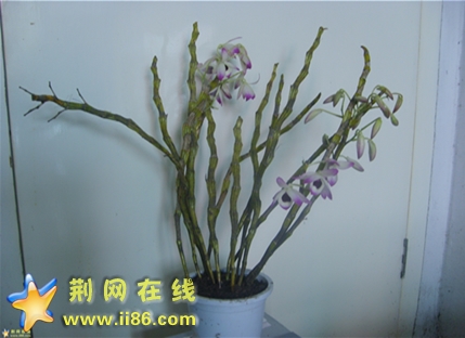 S6001087.jpg