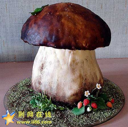 xin_0620604091551046491211.jpg