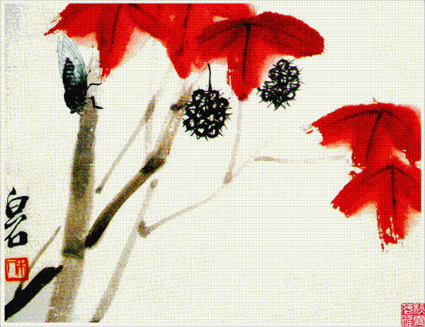 5843697a0103vo62.gif