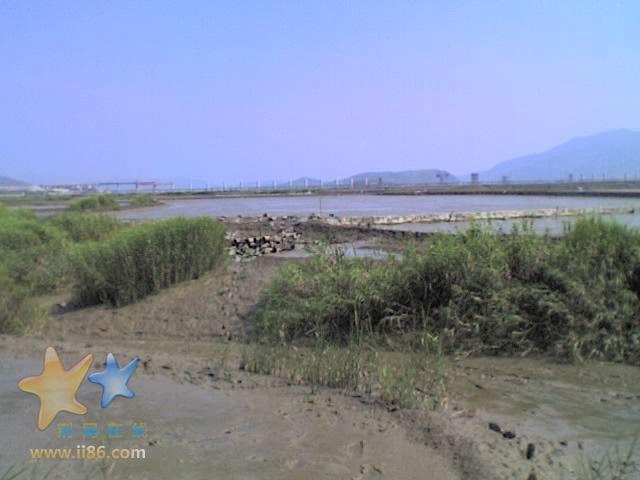 01-08-07_1453.jpg
