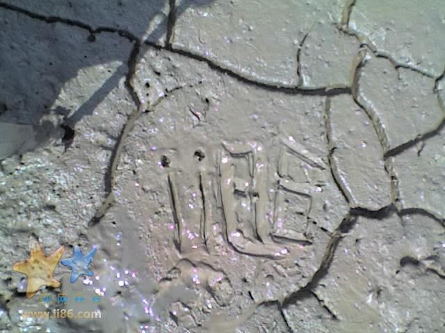 01-08-07_1452.jpg