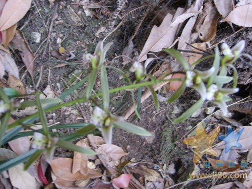 S6000292.JPG