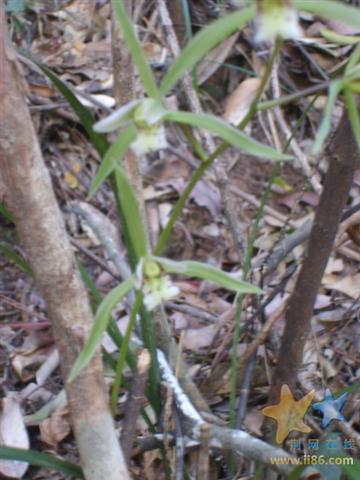S6000288.JPG