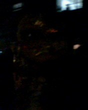 IMG0074A.jpg