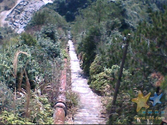 IMG0201A.jpg