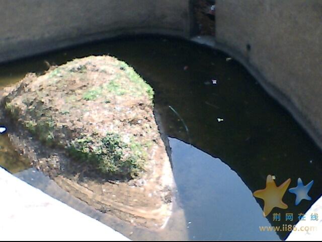 IMG0205A.jpg