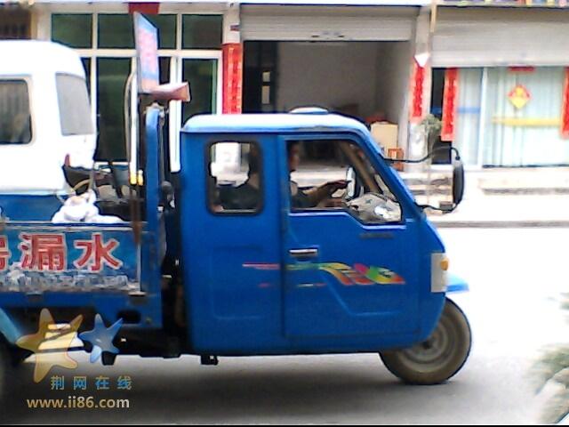 IMG0293A.jpg