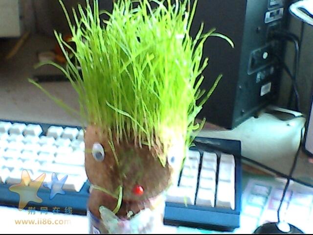 IMG0356A.jpg