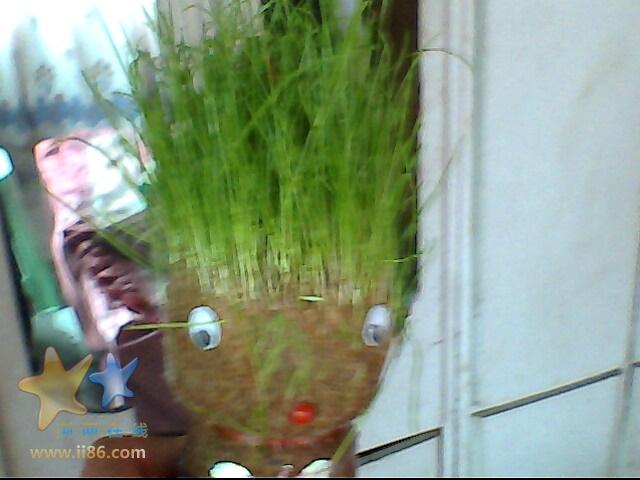 IMG0355A.jpg