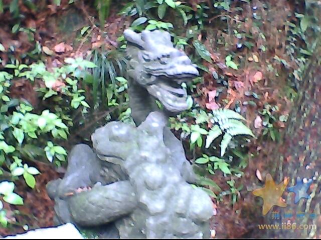 IMG0496A.jpg