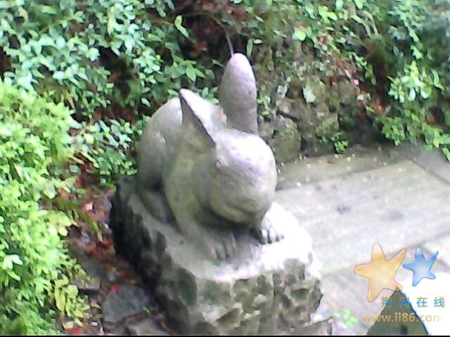 IMG0495A.jpg