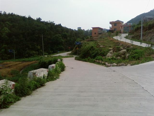 SP_A0396.jpg