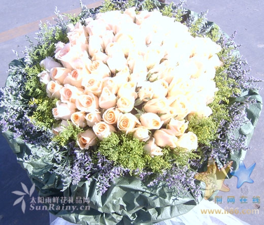 香槟玫瑰-手牵手　浪漫花语：一路上，情深有我，牵着你的手陪着你走，走过春夏秋冬，走过人生坎途 ...