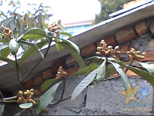 IMG0159A.jpg