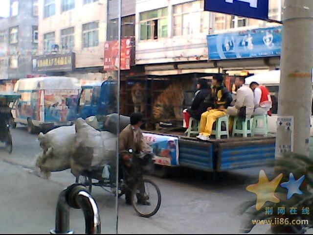 IMG0233A.jpg