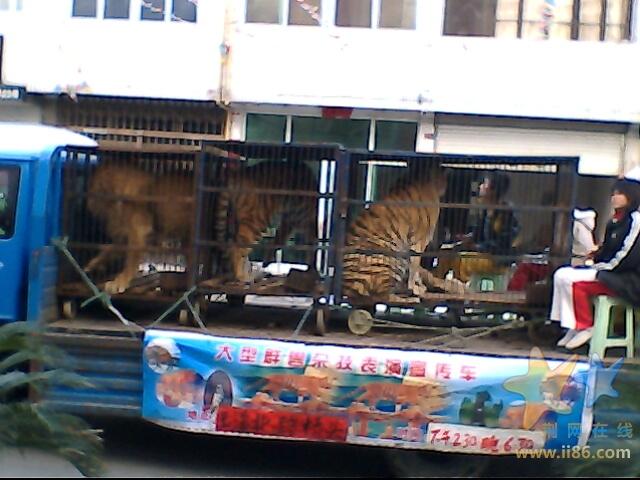 IMG0232A.jpg