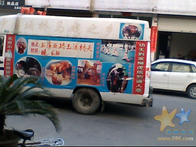 IMG0231A.jpg
