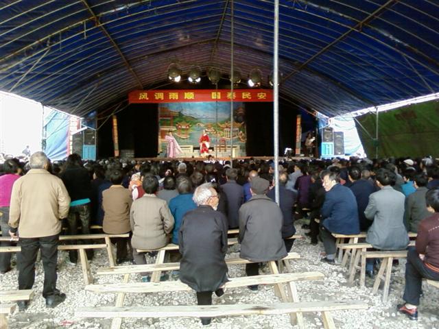 SP_A0310.jpg