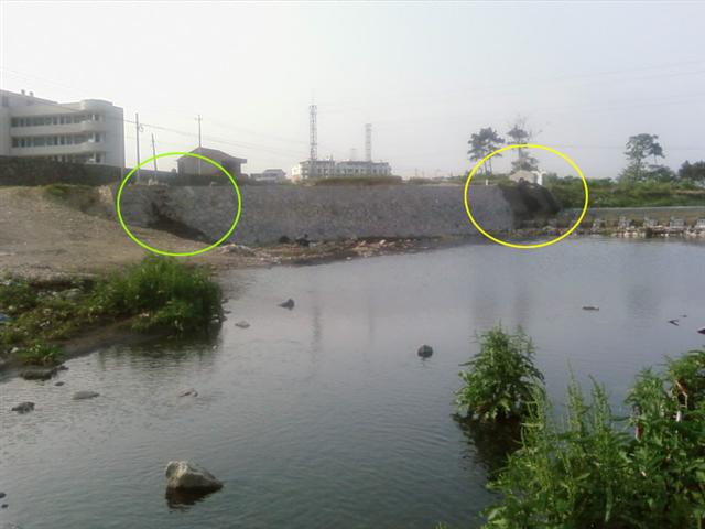 SP_A0349.jpg