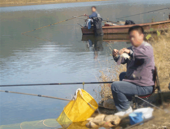 钓鱼.gif