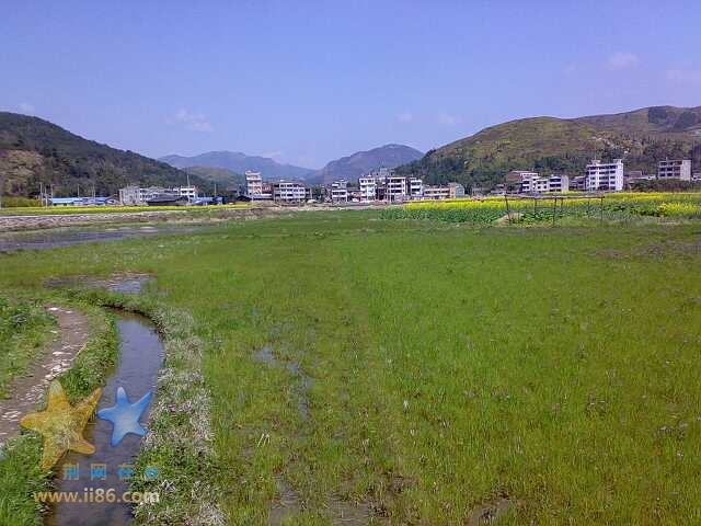 200803191362-小.jpg