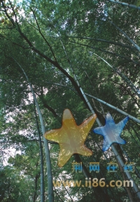 041f261ffefaf1c9a78669e6.jpg