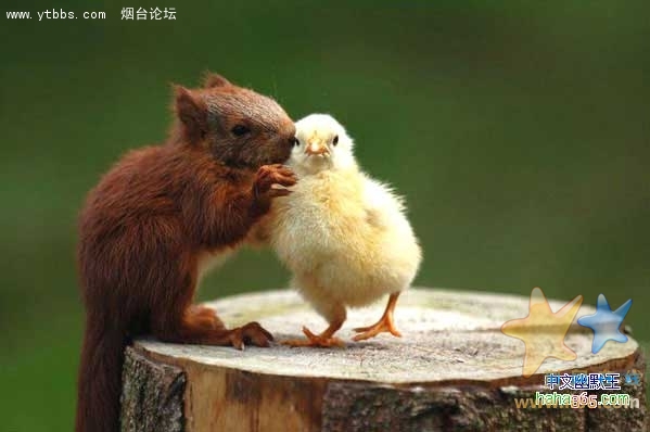 没有不敢上的