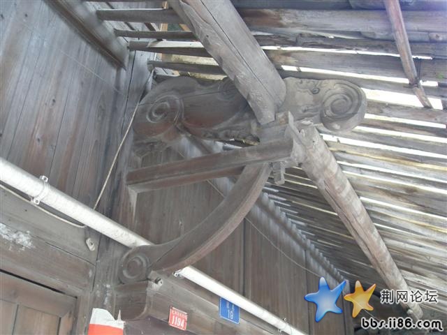 SDC10329.JPG