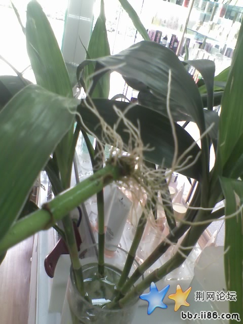 06-06-08_1123.jpg