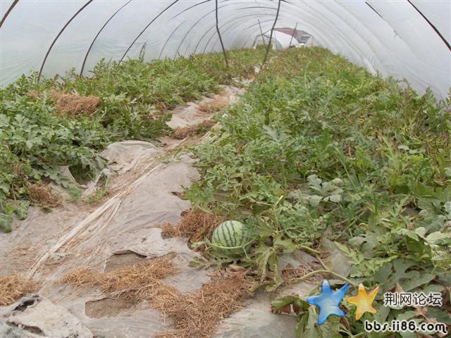 SDC11072.JPG
