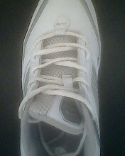 IMG0676A.jpg