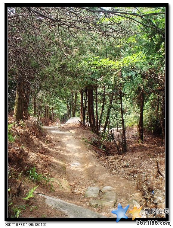 大罗山 (7).jpg