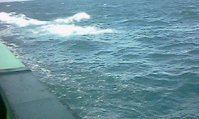 IMG0041A.jpg