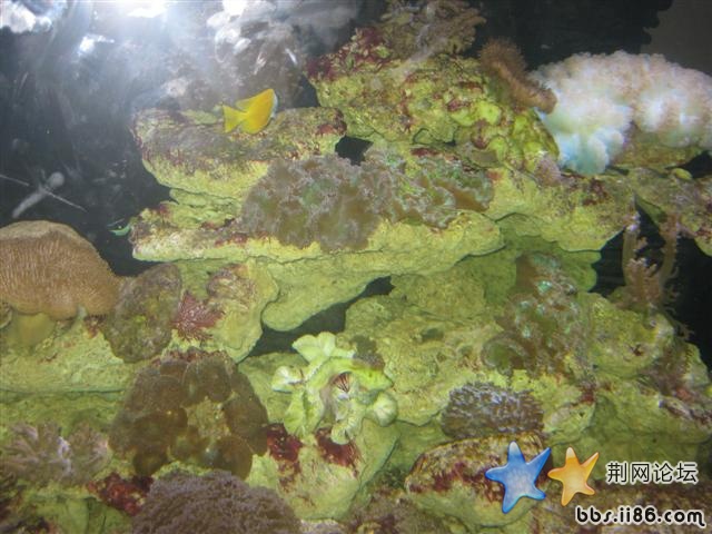 IMG_0703.JPG