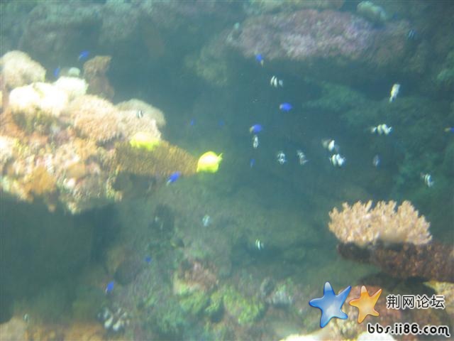 IMG_0757.JPG