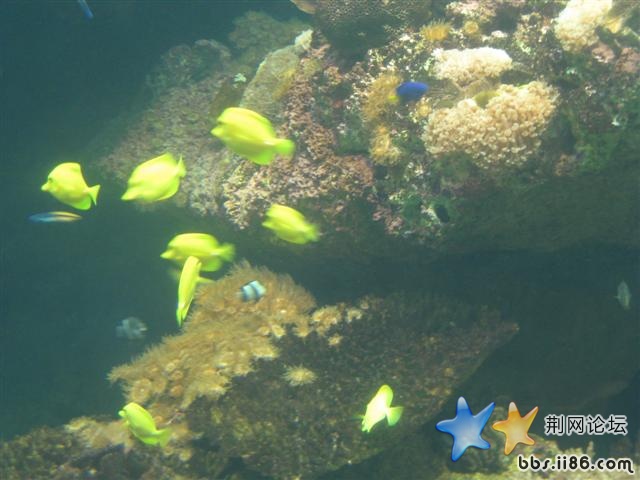 IMG_0764.JPG