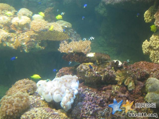 IMG_0756.JPG