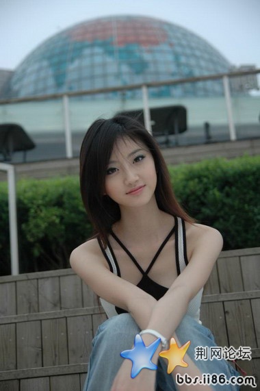 8251601.jpg